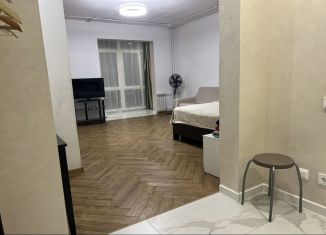 Сдам в аренду 1-комнатную квартиру, 47 м2, Иркутск, улица Лыткина, 9/6