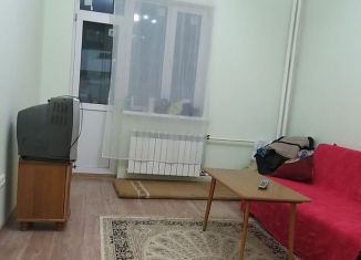 Сдача в аренду квартиры студии, 31 м2, Старая Купавна, Октябрьская улица, 14А