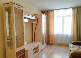 Продам 1-ком. квартиру, 31.4 м2, Санкт-Петербург, метро Выборгская, проспект Маршала Блюхера, 9к3