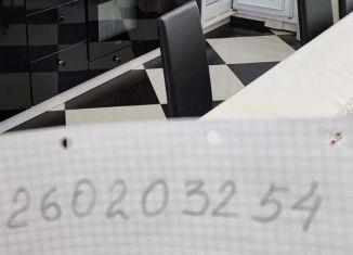 Сдаю в аренду дом, 270 м2, деревня Зелёная Поляна, улица Тагира Кусимова