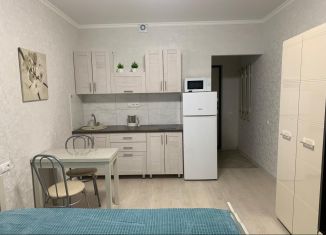 Квартира в аренду студия, 27 м2, Котельники, Сосновая улица, 2, ЖК Белые Росы