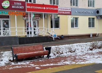 Помещение свободного назначения в аренду, 55 м2, Орёл, бульвар Победы, 3