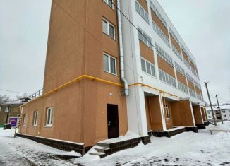 Продажа 2-комнатной квартиры, 70 м2, Благовещенск, улица Чистякова, 12