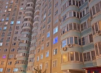 Продам квартиру студию, 22.5 м2, Москва, Покровская улица, 31, район Некрасовка