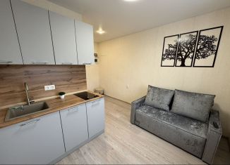 Квартира на продажу студия, 13 м2, Татарстан, улица Аделя Кутуя, 8