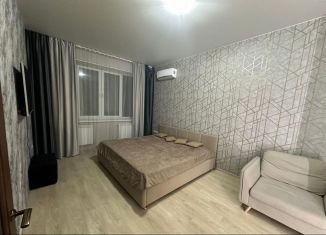 Аренда 1-ком. квартиры, 43 м2, Армавир, улица Ефремова, 160