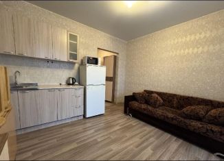 Квартира в аренду студия, 24 м2, Новосибирск, улица Титова, 253/5