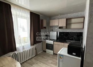 Продается 1-ком. квартира, 40 м2, деревня Николаевка, Советская улица, 33
