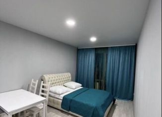 Сдается квартира студия, 30 м2, Алтайский край, улица Советской Армии, 75