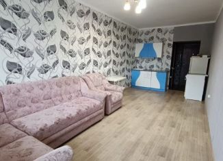 Сдается в аренду квартира студия, 28 м2, Абакан, улица Некрасова, 45