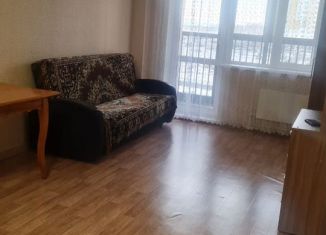 Сдается квартира студия, 25 м2, Красноярский край, Соколовская улица, 64