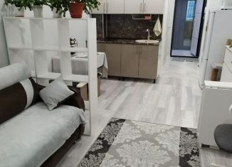 Сдаю квартиру студию, 25 м2, Зеленогорск, улица Строителей, 3к1