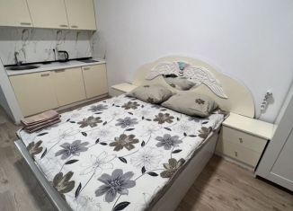 Сдам квартиру студию, 20 м2, Химки, Московская улица, 21А