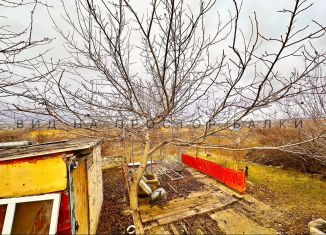 Продам дом, 104 м2, хутор Большой Лог, Степная улица, 11