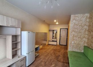 Продается квартира студия, 19.7 м2, Амурская область, Советская улица, 6