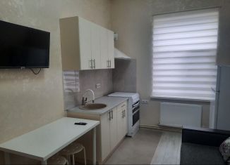 Сдам квартиру студию, 32 м2, Ростов-на-Дону, улица Теряева, 4, ЖК Платовский