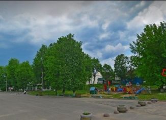 Продажа помещения свободного назначения, 40 м2, поселок городского типа Спирово, Советская улица, 7