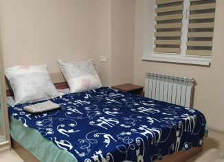 Квартира в аренду студия, 24.5 м2, Самара, Аэродромная улица, 98А, метро Советская