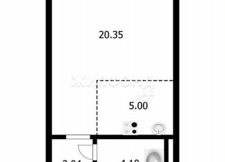 Продам квартиру студию, 32.5 м2, Новосибирск, улица Виктора Шевелёва, 18, метро Студенческая