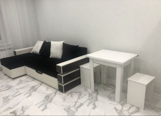 Квартира в аренду студия, 30 м2, Щербинка, улица Мостотреста, 8с1