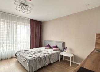 Сдаю в аренду квартиру студию, 24 м2, Москва, Амурская улица, 2к2