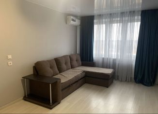 Однокомнатная квартира в аренду, 36 м2, Ростов-на-Дону, Художественная улица, 22/17, ЖК Платовский