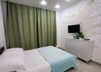 Аренда квартиры студии, 30 м2, Алтайский край, проспект Строителей, 18