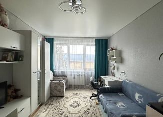 Продается 1-ком. квартира, 34 м2, Мордовия, Центральная улица, 1