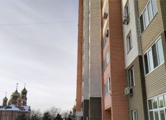 Сдаю квартиру студию, 25 м2, Алтайский край, улица Антона Петрова, 221Д/1