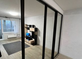 Сдается в аренду однокомнатная квартира, 33.8 м2, посёлок фабрики имени 1 Мая, посёлок Фабрики имени 1 Мая, 53