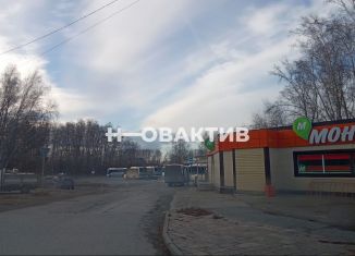 Продается дача, 58 м2, Новосибирская область, Васильковая улица, 5