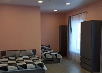 Сдается 2-комнатная квартира, 110 м2, Похвистнево, Революционная улица, 237