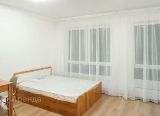 Сдаю 1-ком. квартиру, 25 м2, городской посёлок Янино-1, Голландская улица, 16