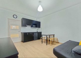 Сдается квартира студия, 25 м2, Кудрово, Европейский проспект, 8