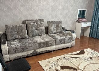 Сдается 1-ком. квартира, 40 м2, Забайкальский край, Проезжая улица, 23