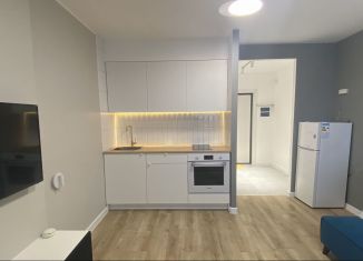 Продается квартира студия, 22 м2, Пермский край, улица Солдатова