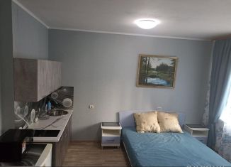 Квартира в аренду студия, 27 м2, Абакан, улица Дзержинского, 187