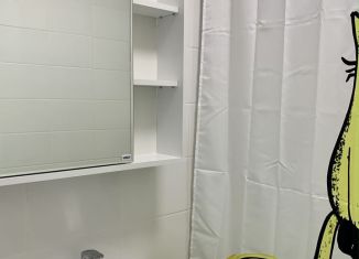 Сдается квартира студия, 20 м2, Люберцы, улица Лётчика Ларюшина, 6к2, ЖК Жулебино Парк