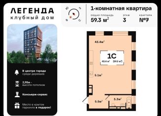 Однокомнатная квартира на продажу, 59.3 м2, Владимирская область, улица Чернышевского, 10