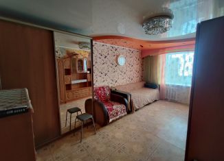 Сдам в аренду 1-комнатную квартиру, 30 м2, Свердловская область, Озёрная улица, 30