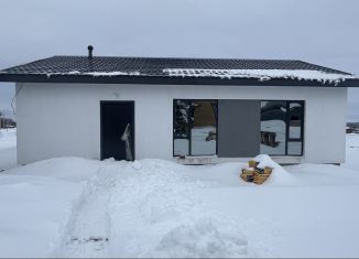 Продам дом, 87 м2, деревня Николаевка, улица Дружбы, 13