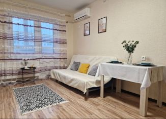 Сдается в аренду квартира студия, 26 м2, Ростов-на-Дону, ЖК Платовский, улица Тимофеева, 14к1