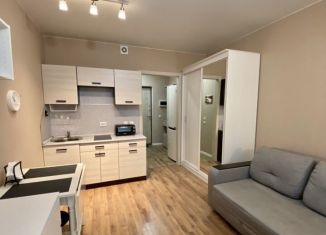 Квартира на продажу студия, 25.7 м2, Кудрово, ЖК Вернисаж