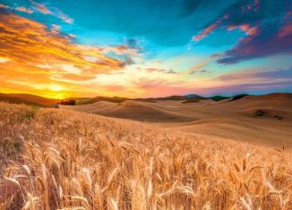 Продам участок, 600 сот., село Воробьёвка