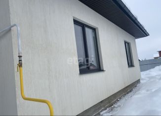 Продажа дома, 113 м2, деревня Беляницы