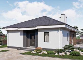 Продажа дома, 87 м2, деревня Байрак, Заливная улица, 13