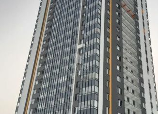 Продажа квартиры студии, 20 м2, Санкт-Петербург, набережная реки Каменки, 19к3, метро Озерки