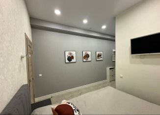 Квартира в аренду студия, 42 м2, Сочи, микрорайон Приморье, Курортный проспект, 105