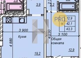 Продается 1-комнатная квартира, 43.3 м2, Новосибирск, улица Зорге, 277, ЖК Рихард
