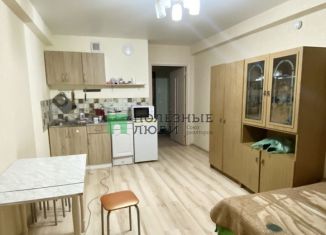 Продам квартиру студию, 24 м2, Ижевск, улица А.Н. Сабурова, 17, ЖК Ласточка